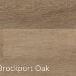 Brockport Oak