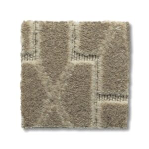 Anderson Tuftex Coffee Froth carpet