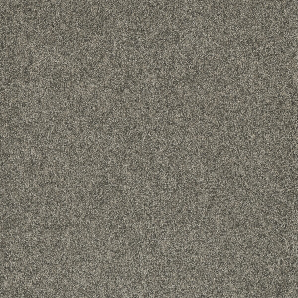 Close up of DreamWeaver Rockwell carpet