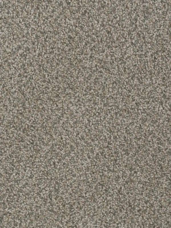 Close up of DreamWeaver SP250 collection Carbon Crystals 255 carpet