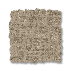 Close up of Anderson Tuftex Caboodle ZZ259 collection Blonde 00122 carpet