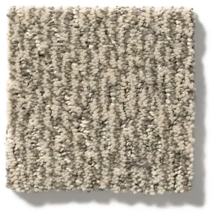 Close up of Anderson Tuftex Fur-Ever ZZ218 collection Danville 00273 carpet