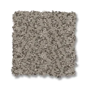 Close up of Anderson Tuftex Kit ZZ258 collection Mindful 00572 carpet