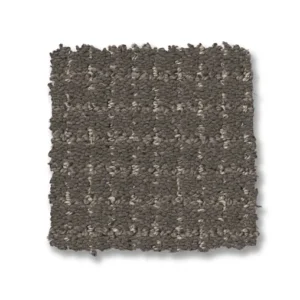 Close up Anderson Tuftex Lyric ZZ257 collection Shade 00578 carpet