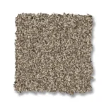 Chic Taupe (00753)