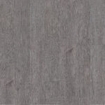 Silvered Oak (413 006)