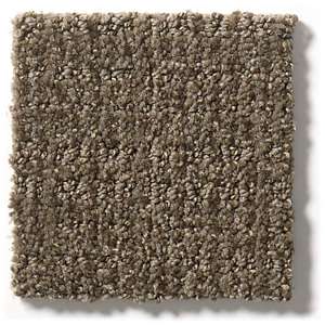 Close up of Shaw Floors Sensible Now E9720 Antique Chest 00774 carpet