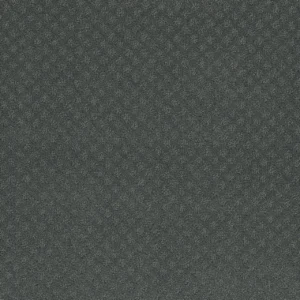 Close up of DreamWeaver Capri 1428 collection Onyx Waves 890 carpet
