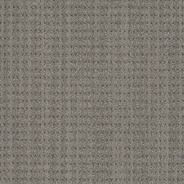 Close up of DreamWeaver DW Select Chelsea 8168 collection Addlestone 5780 carpet