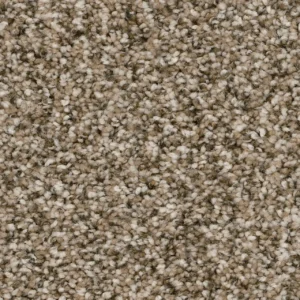 Close up of DreamWeaver Jackson Hole I 7543 collection Pebble 637 carpet