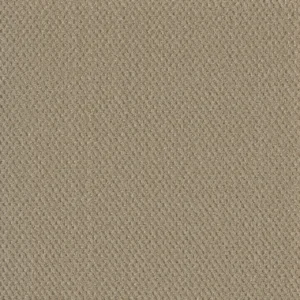 Close up of DreamWeaver Moon Bay 1228 collection Soft Pine 6317 carpet