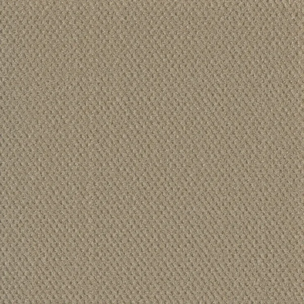 Close up of DreamWeaver Moon Bay 1228 collection Soft Pine 6317 carpet