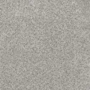 Close up of DreamWeaver Trendsetter I 3640 collection Sparkling Dew 513 carpet