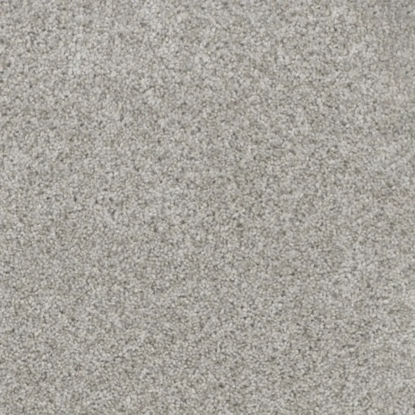Close up of DreamWeaver Trendsetter I 3640 collection Sparkling Dew 513 carpet