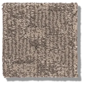 Close up of Anderson Tuftex Paw-Tay ZZ221 collection Danville 00273 carpet