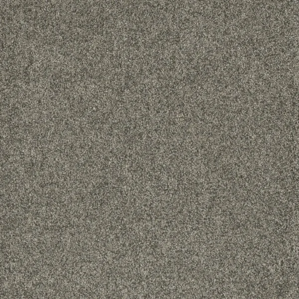 Close up of DreamWeaver Astounding II 2545 collection Rockwell 123 carpet