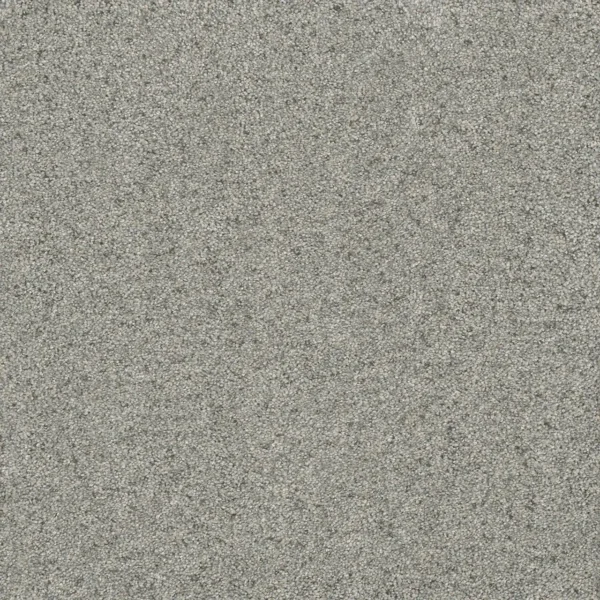 Close up of DreamWeaver Astounding III 2565 collection Nordic Mist 837 carpet