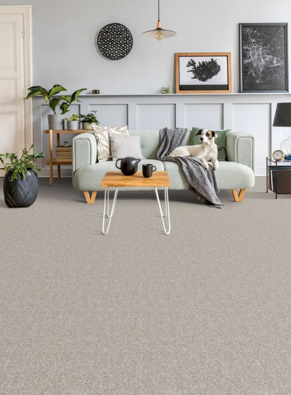 DreamWeaver Interstellar 3236 collection Pearl Glacier 2365 carpet installed in a living room