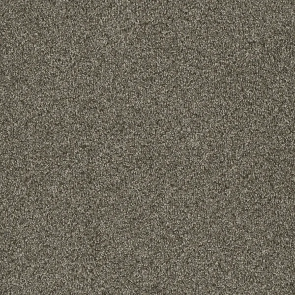 Close up of DreamWeaver Luxor I 7740 collection Monaco 244 carpet