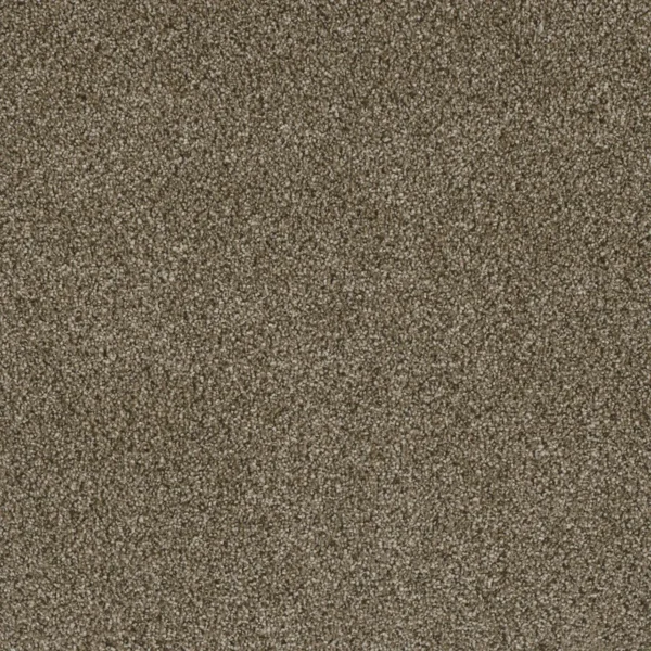 Close up of DreamWeaver Luxor II 7750 collection Island Spice 307 carpet