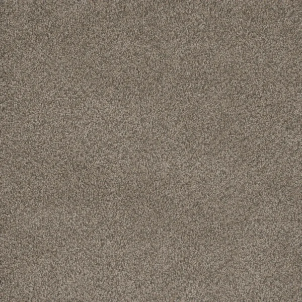 Close up of DreamWeaver Monte Carlo I 6200 collection Umber 6004 carpet