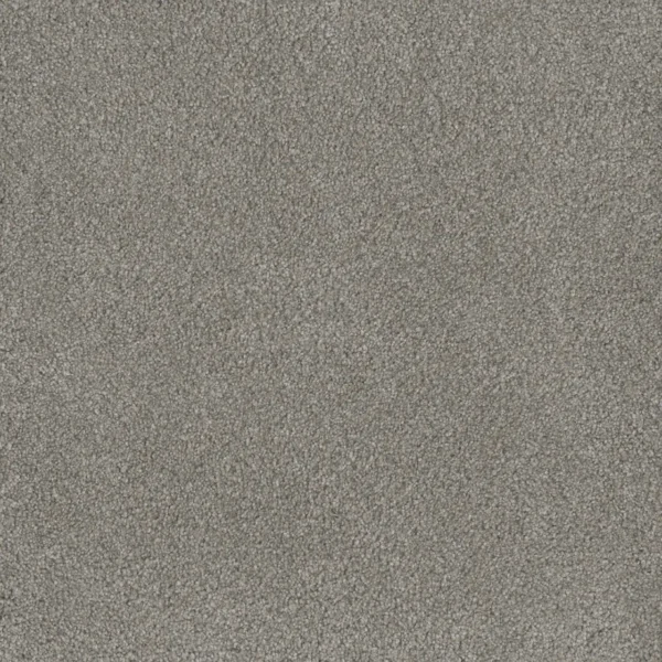 Close up of DreamWeaver Monte Carlo III 8200 collection Antique Fresco 6076 carpet