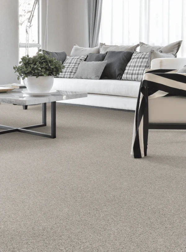 DreamWeaver Natural Wonder I 3345 collection Aruba Breeze 109 carpet installed in a living room
