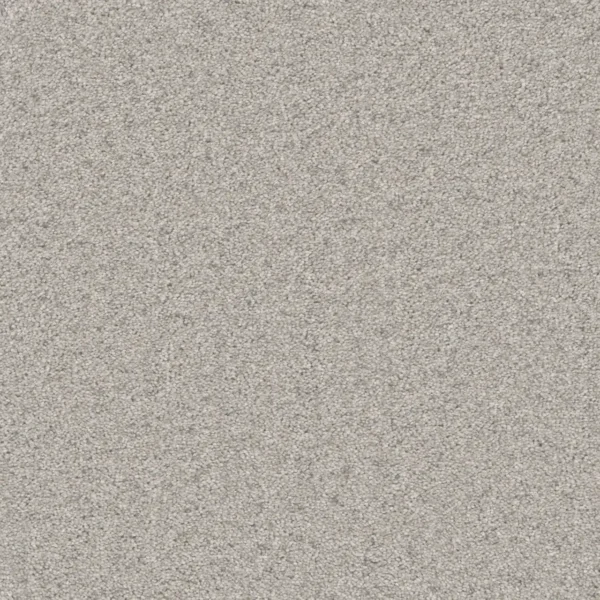 Close up of DreamWeaver Natural Wonder I 3345 collection Ivory Mist 460 carpet