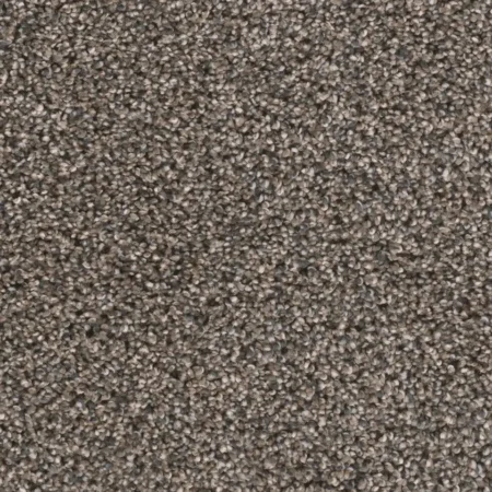 Close up of DreamWeaver Reflections I 5348 collection Imperial Sable 134 carpet