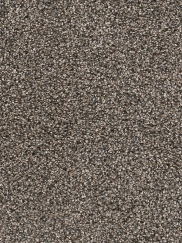 Close up of DreamWeaver Reflections I 5348 collection Imperial Sable 134 carpet