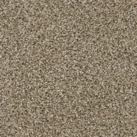 Close up of DreamWeaver Reflections II 5365 collection Sand Bluff 440 carpet