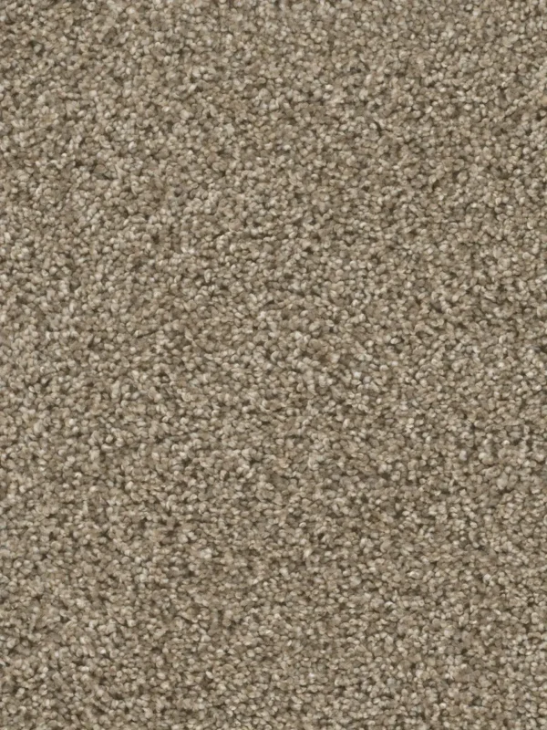 Close up of DreamWeaver Reflections II 5365 collection Sand Bluff 440 carpet